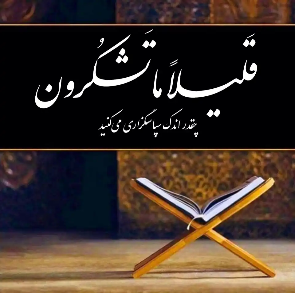 عرض زندگی