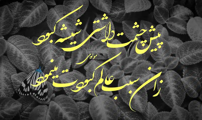 پیش چشمت داشتی شیشه کبود زان سبب عالم کبودت می‌نمود «مولوی»